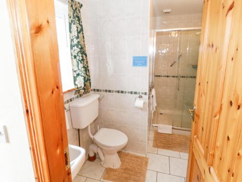 a bathroom with a toilet and a shower at At the Crossroads in Louisburgh