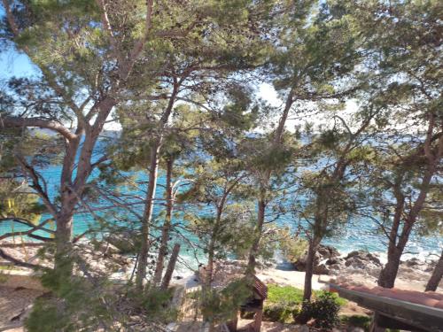 Φυσικό τοπίο κοντά σε αυτό το διαμέρισμα