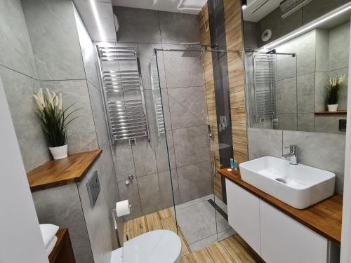 y baño con ducha, lavabo y aseo. en Villa Nova Apartamenty, en Olsztyn