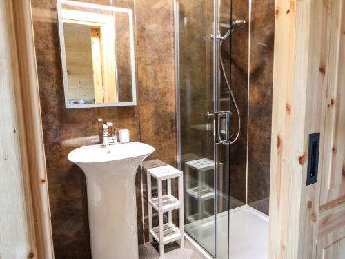 uma casa de banho com um lavatório e um chuveiro em Badgers Sett em Darlington