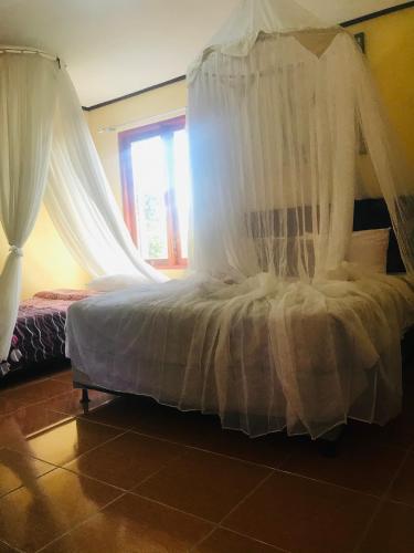 a bedroom with a canopy bed with a window at Sugi Gede Homestay in Singaraja