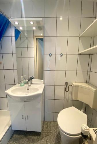 a white bathroom with a toilet and a sink at Appartement Walvis nr. 16 in Vrouwenpolder