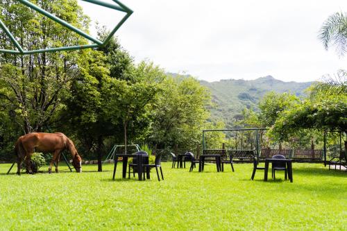 a horse grazing in a field with tables and chairs at Nuevas Cabañas Del Sol in San Lorenzo