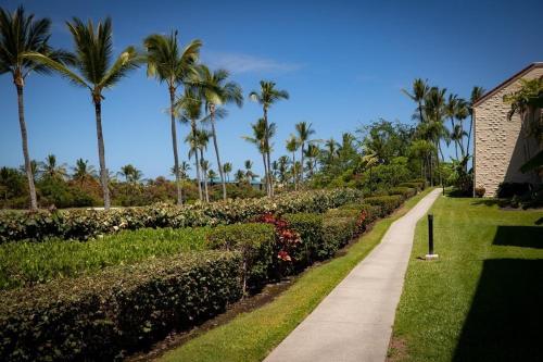 a path through a garden with palm trees and a building at Newly Renovated Condo with SUP Paddle Boards and Golf Clubs Included in Kailua-Kona