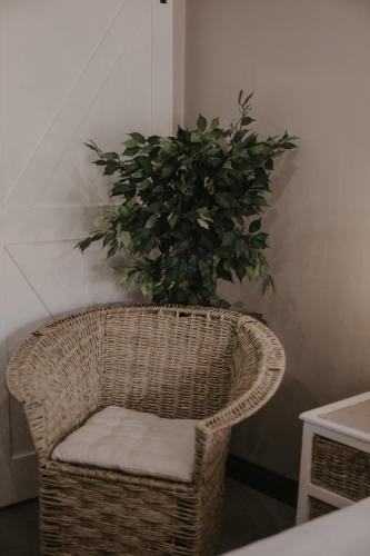 a wicker chair with a potted plant in a room at Villa Rose Guesthouse & Venue in Bloemfontein