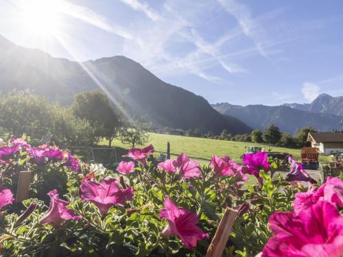 ラムサウ・イム・ツィラータールにあるMoiklerhof holiday home in Ramsau im Zillertalの山を背景とした花畑