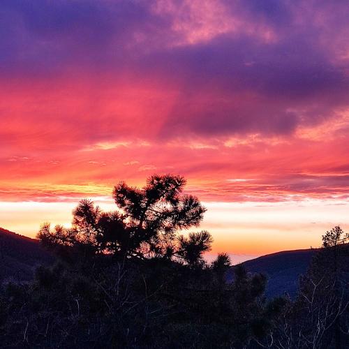 a sunset with a tree in the foreground at Ostello ninin de ma' in Framura