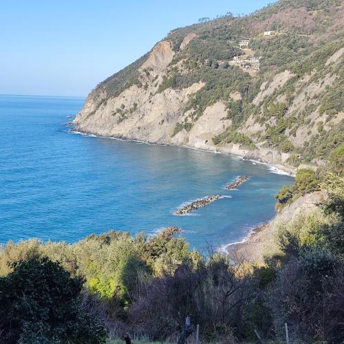a view of a beach on a hill with the ocean at Ostello ninin de ma' in Framura