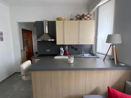 une cuisine avec un comptoir et un évier dans l'établissement Cosy 2 pièces, résidence en front de mer, Roquebrune Cap Martin, à Roquebrune-Cap-Martin