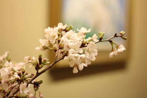 a branch of a flowering tree with white flowers at THE KITANO HOTEL TOKYO in Tokyo