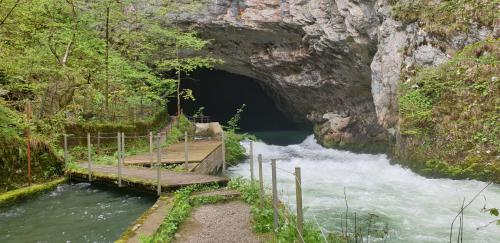 a wooden bridge over a river in a cave at Lipizzaner Lodge Guest House in Postojna