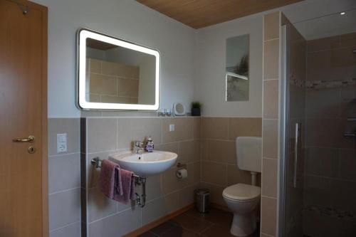 a bathroom with a sink and a toilet and a mirror at Ferienwohnungen Heideidylle in Amelinghausen