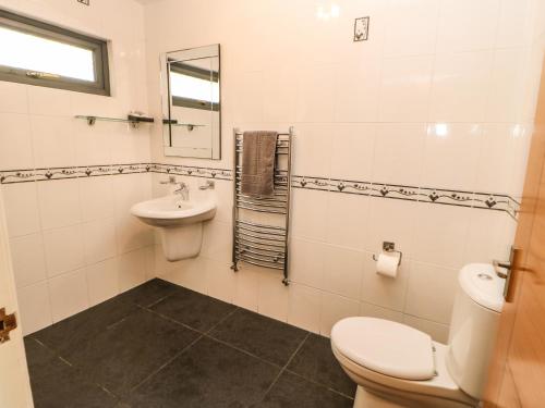 un baño con inodoro y lavabo en Primrose Lodge, en Saltburn-by-the-Sea