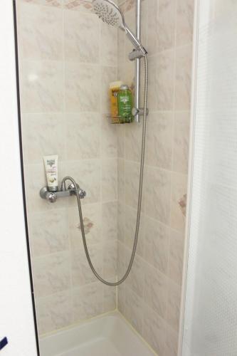 une douche avec pommeau de douche dans une salle de bain dans l'établissement GOELETTES 311, à Saint-Cyprien