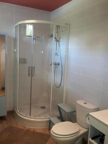 a white bathroom with a shower and a toilet at Moulin de Merzé in Cortambert