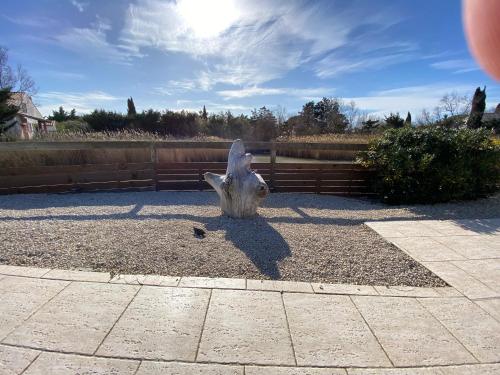 a statue of a head sitting on the ground at Le Mas de Cocagne in Saintes-Maries-de-la-Mer