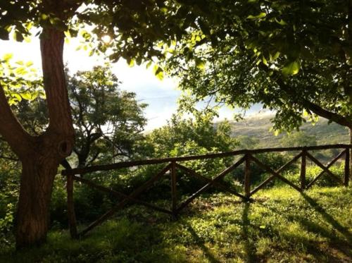 uma cerca de madeira ao lado de uma árvore e um campo em Ca' le Suore em Cagli