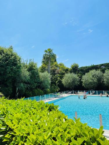 une grande piscine avec des gens dans l'eau dans l'établissement Floriana, à Cannes