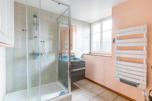 ein Bad mit einer Dusche mit einer Duschkabine aus Glas in der Unterkunft L'Audacieuse in Eckbolsheim