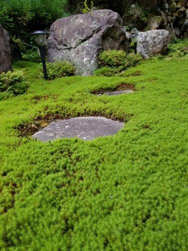 a garden with a lamp in the grass at 泰山木美山 in Nantan city