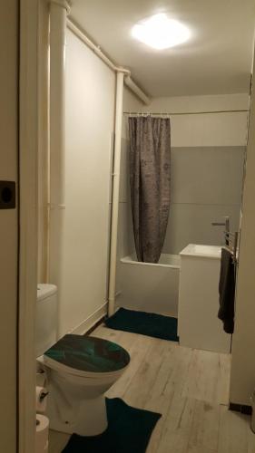 La salle de bains est pourvue de toilettes, d'une douche et d'une baignoire. dans l'établissement Près de Melun, Appt 3 pièces 2 chambres tout confort, à Dammarie-les-Lys
