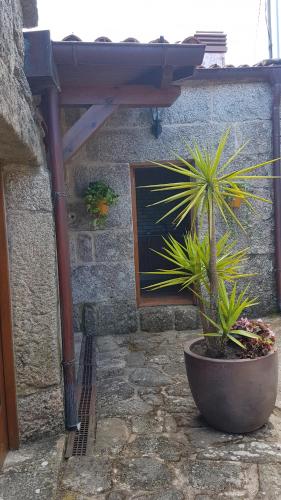 Fotografie z fotogalerie ubytování O POMAR VELLO v destinaci Pontevedra