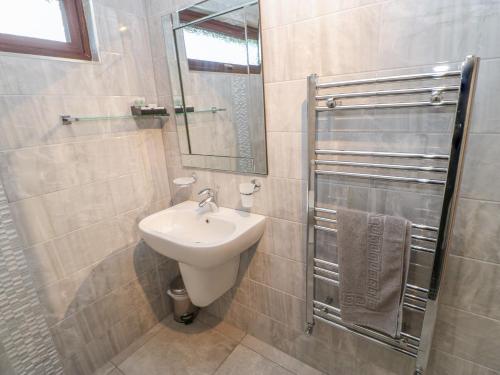 uma casa de banho com um lavatório e um espelho em Orchid Lodge em Saltburn-by-the-Sea