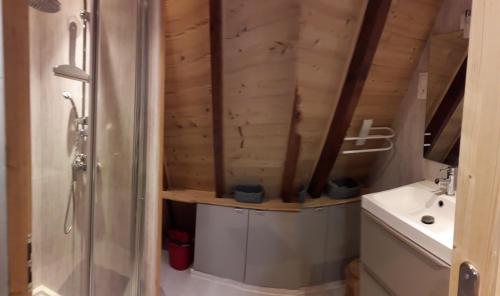 une salle de bain avec douche et lavabo dans l'établissement chalets montagnard, à Jausiers