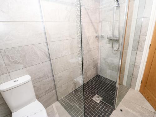 a bathroom with a shower with a toilet at Foxglove Lodge in Saltburn-by-the-Sea