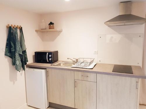 a small kitchen with a sink and a microwave at Appartement cosy avec terrasse privée et parking in Horbourg
