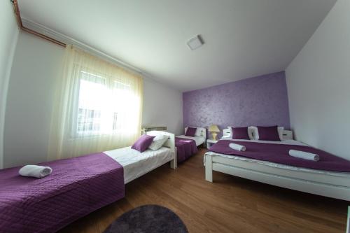 a bedroom with two beds and a window at Apartman Kokin Brod in Kokin Brod