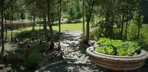 a garden with a large pot of plants and a duck at Furrows Lodge in Nieu-Bethesda