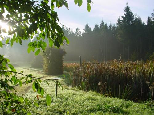 a bench in a field with the sun in the background at Landhotel Altes Zollhaus in Hermsdorf