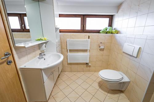 Ένα μπάνιο στο Slovenian Traditional Guest House