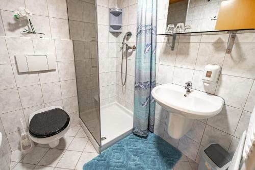 a bathroom with a shower and a toilet and a sink at Slovenian Traditional Guest House in Begunje na Gorenjskem