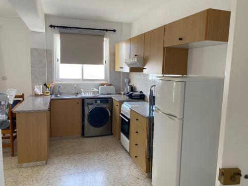 eine Küche mit einem Kühlschrank und einem Geschirrspüler in der Unterkunft Riana Latchi Apartment in Polis Chrysochous
