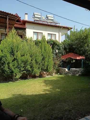 a house with trees in front of a yard at Nehir Dalyan Boutique Otel in Ortaca