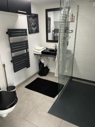 a bathroom with a shower and a toilet and a sink at MealSaveurs & SPA in La Buisse