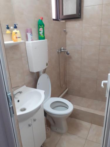 a bathroom with a toilet and a sink and a shower at Kociu's House in Constanţa