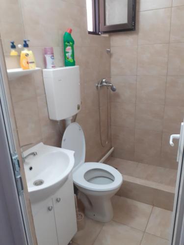 コンスタンツァにあるKociu's Houseのバスルーム(トイレ、洗面台、シャワー付)