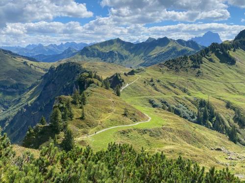 a winding mountain road through a valley in the mountains at Kanis 80 in Schnepfau