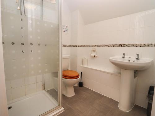 a bathroom with a toilet and a sink and a shower at Greyhound Barn in Ampney Crucis