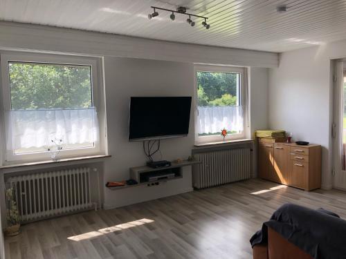 TV a/nebo společenská místnost v ubytování Ferienwohnung Im Bachgrund