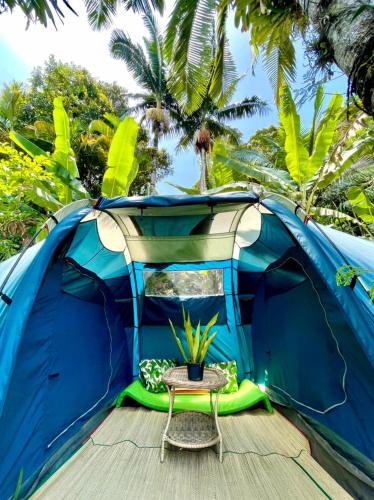a blue tent with a table and a chair in front at Hostel Trópico de Capricórnio - Tenório in Ubatuba
