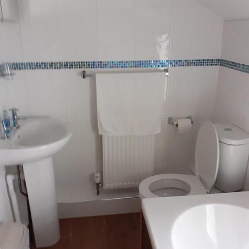 a bathroom with a white toilet and a sink at Honeysuckle Cottage in Wiggenhall Saint Germans