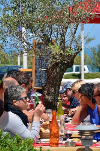 a group of people sitting at a table under a tree at Hotel De L'Océan in Biarritz