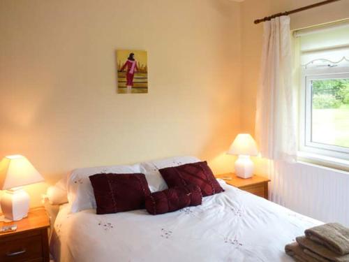 a bedroom with a bed with red pillows and a window at Eileen's in Cloone