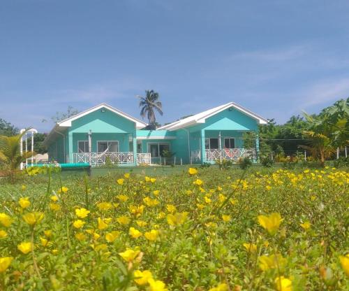 une maison bleue avec un champ de fleurs jaunes dans l'établissement Blue Lizard House, à San Andrés