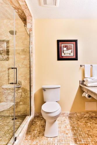 Bilik mandi di The View Inn & Suites Bethlehem / Allentown / Lehigh Airport