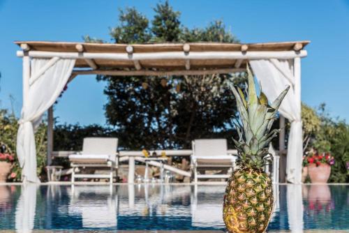 Fotografie z fotogalerie ubytování Villa Kalithea - Elegant Secluded Villa v destinaci Pemónia
